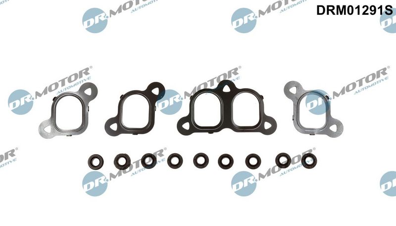 Dr.Motor Automotive DRM01291S Gasket Set, intake manifold