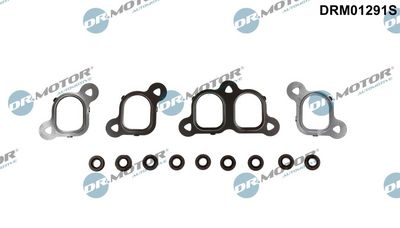 Gasket Set, intake manifold Dr.Motor Automotive DRM01291S