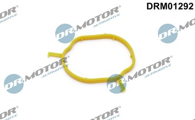 Gasket, coolant pipe Dr.Motor Automotive DRM01292