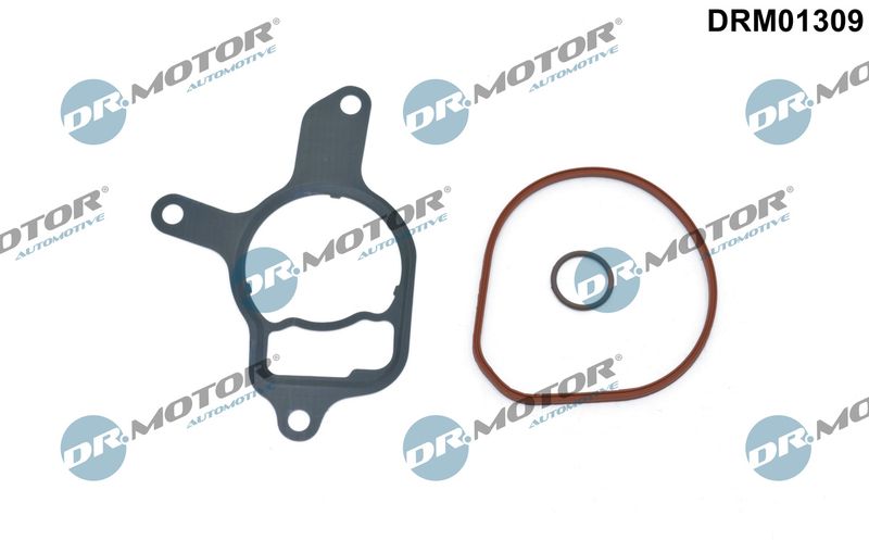 Dr.Motor Automotive DRM01309 Seal Set, vacuum pump