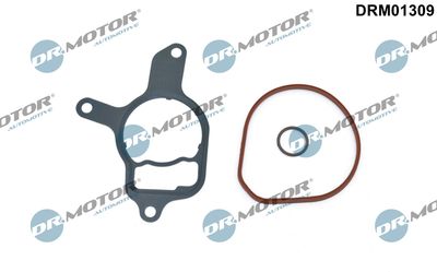 Seal Set, vacuum pump Dr.Motor Automotive DRM01309
