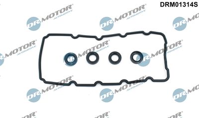 Gasket Set, cylinder head cover Dr.Motor Automotive DRM01314S