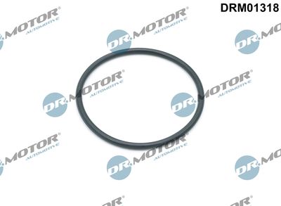 Gasket, oil filter housing Dr.Motor Automotive DRM01318