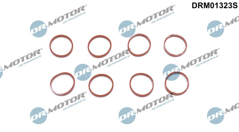 Dr.Motor Automotive DRM01323S Gasket Set, intake manifold