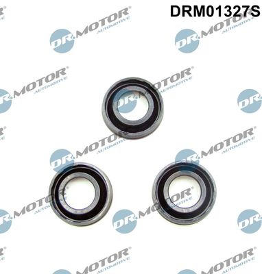 Seal, injector holder Dr.Motor Automotive DRM01327S