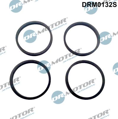Gasket Set, intake manifold Dr.Motor Automotive DRM0132S