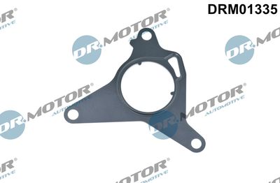 Gasket, vacuum pump Dr.Motor Automotive DRM01335