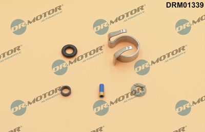 Seal Kit, injector nozzle Dr.Motor Automotive DRM01339