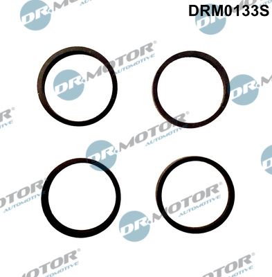 Gasket Set, intake manifold Dr.Motor Automotive DRM0133S