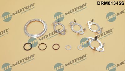 Gasket Set, EGR system Dr.Motor Automotive DRM01345S