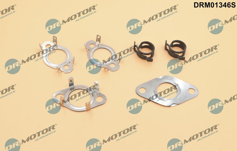 Dr.Motor Automotive DRM01346S Gasket Set, EGR system