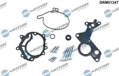 Repair Set, vacuum pump (braking system) Dr.Motor Automotive DRM01347