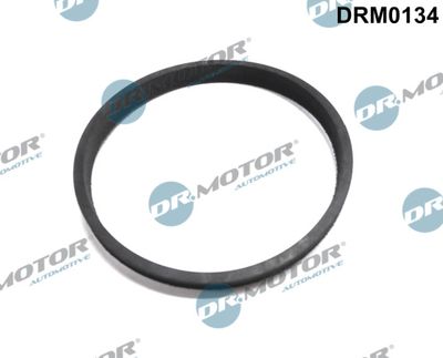 Gasket, throttle body Dr.Motor Automotive DRM0134
