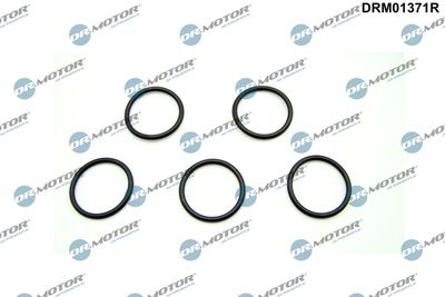 Seal Ring, oil drain plug Dr.Motor Automotive DRM01371R