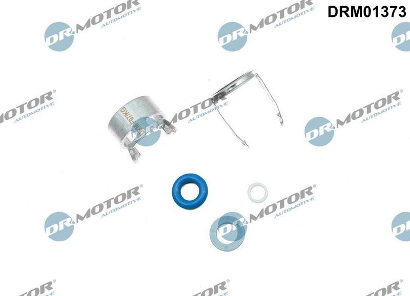Dr.Motor Automotive DRM01373 Repair Kit, injection nozzle