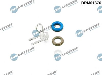 Repair Kit, injection nozzle Dr.Motor Automotive DRM01376