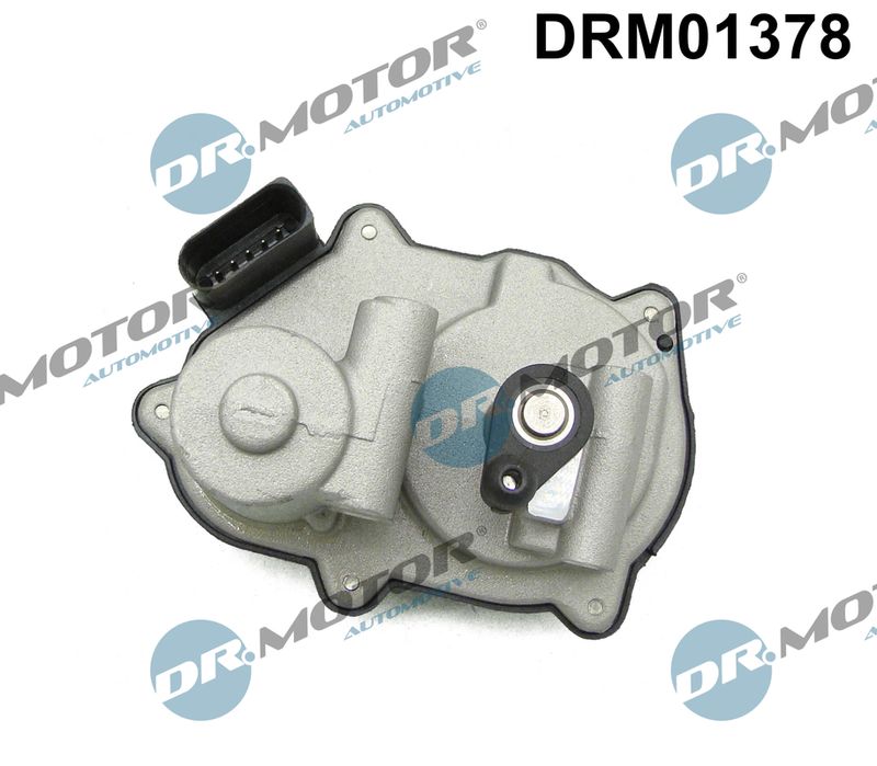 Dr.Motor Automotive DRM01378 Control, swirl covers (induction pipe)