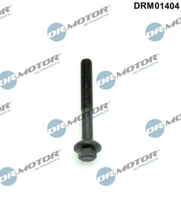 Screw, injection nozzle holder Dr.Motor Automotive DRM01404