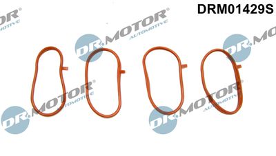 Gasket Set, intake manifold Dr.Motor Automotive DRM01429S