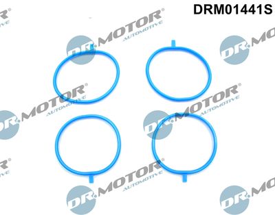 Gasket Set, intake manifold Dr.Motor Automotive DRM01441S