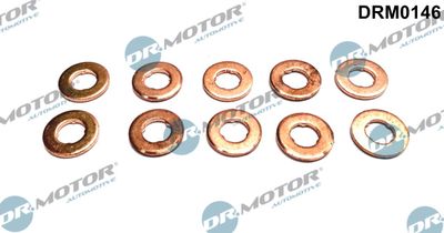 Seal Kit, injector nozzle Dr.Motor Automotive DRM0146