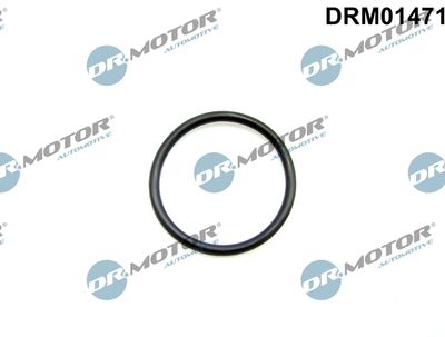 Gasket, EGR valve pipe Dr.Motor Automotive DRM01471