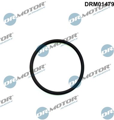 Seal, injection pump Dr.Motor Automotive DRM01479