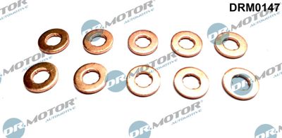 Seal Kit, injector nozzle Dr.Motor Automotive DRM0147