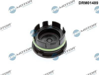 Screw Plug, crankcase Dr.Motor Automotive DRM01489