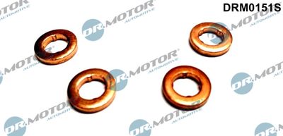 Seal Kit, injector nozzle Dr.Motor Automotive DRM0151S