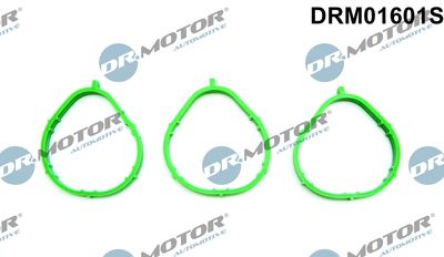 Gasket Set, intake manifold Dr.Motor Automotive DRM01601S