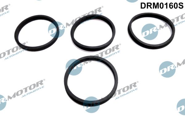 Dr.Motor Automotive DRM0160S Gasket Set, intake manifold