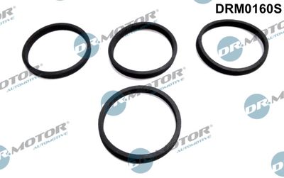Gasket Set, intake manifold Dr.Motor Automotive DRM0160S