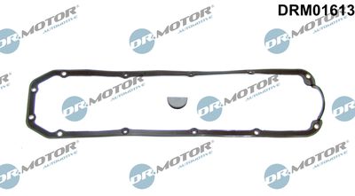 Gasket, cylinder head cover Dr.Motor Automotive DRM01613