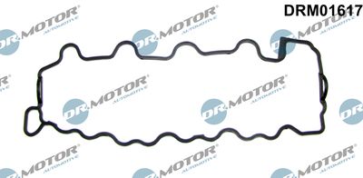 Gasket, cylinder head cover Dr.Motor Automotive DRM01617