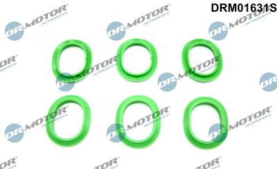 Gasket Set, intake manifold Dr.Motor Automotive DRM01631S