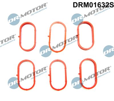 Gasket Set, intake manifold Dr.Motor Automotive DRM01632S