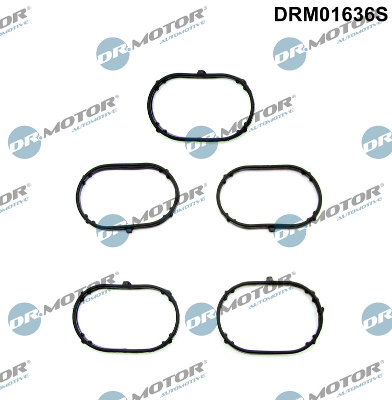 Dr.Motor Automotive DRM01636S Gasket Set, intake manifold