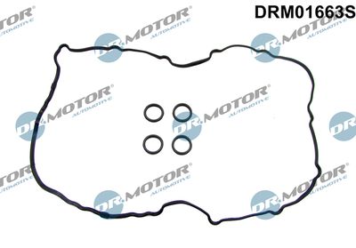 Gasket Set, cylinder head cover Dr.Motor Automotive DRM01663S