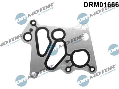Gasket, oil cooler Dr.Motor Automotive DRM01666