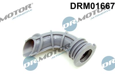 Gasket, air supply idle control valve Dr.Motor Automotive DRM01667