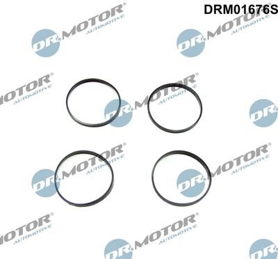 Gasket Set, intake manifold Dr.Motor Automotive DRM01676S