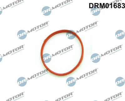 Gasket, throttle body Dr.Motor Automotive DRM01683