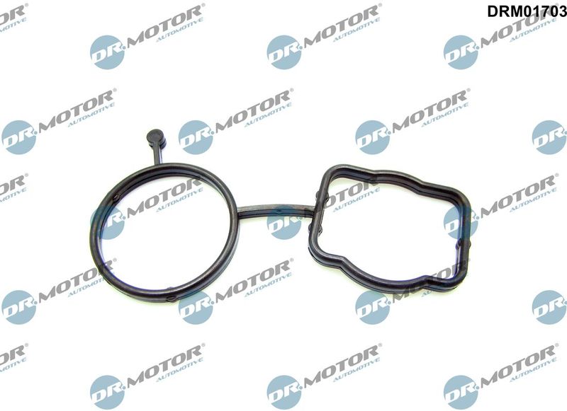 Dr.Motor Automotive DRM01703 Gasket, thermostat housing