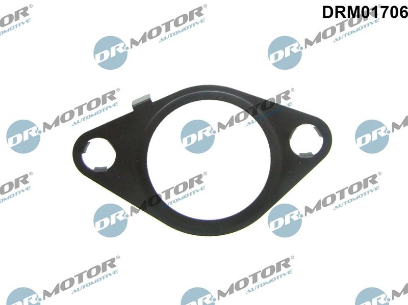 Dr.Motor Automotive DRM01706 Gasket, EGR valve