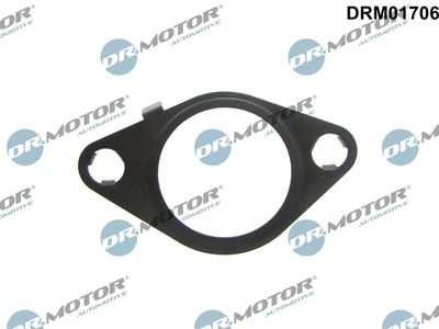 Gasket, EGR valve Dr.Motor Automotive DRM01706