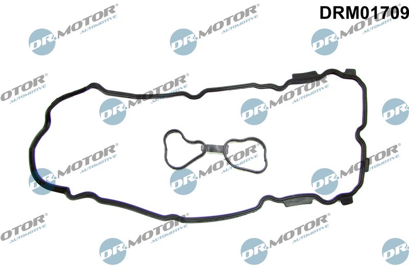 Dr.Motor Automotive DRM01709 Gasket, cylinder head cover