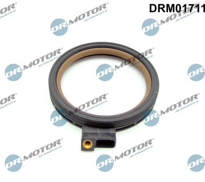 Shaft Seal, crankshaft Dr.Motor Automotive DRM01711