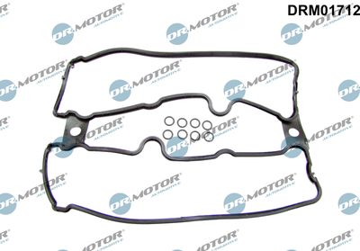 Gasket, cylinder head cover Dr.Motor Automotive DRM01712