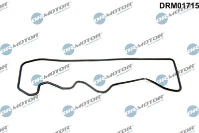 Gasket, cylinder head cover Dr.Motor Automotive DRM01715